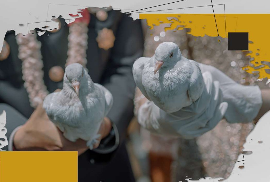 Dove Release Ceremony – Simbolik & Indah